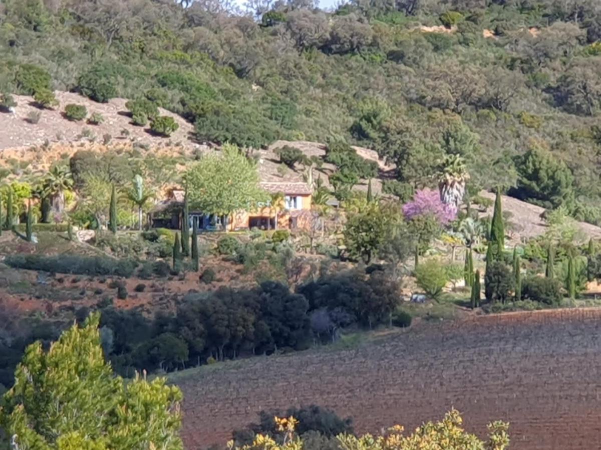 House With Garden And Sea View Villa La Londe-les-Maures Exterior photo